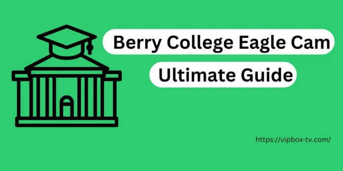 The Ultimate Guide to the Berry College Eagle Cam