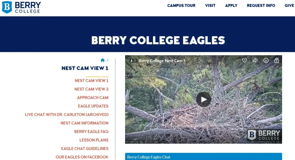 To view the Berry College Eagle Cam live, go here: